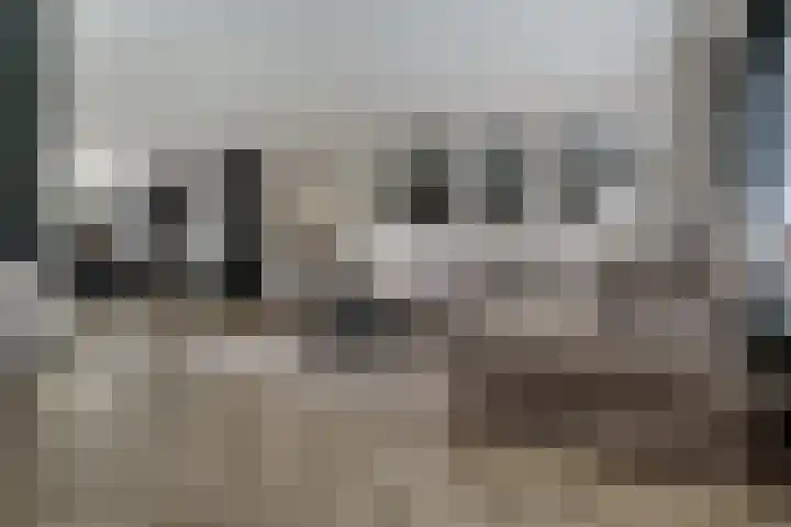 Ringoven 12 Tolkamer thumbnail 16