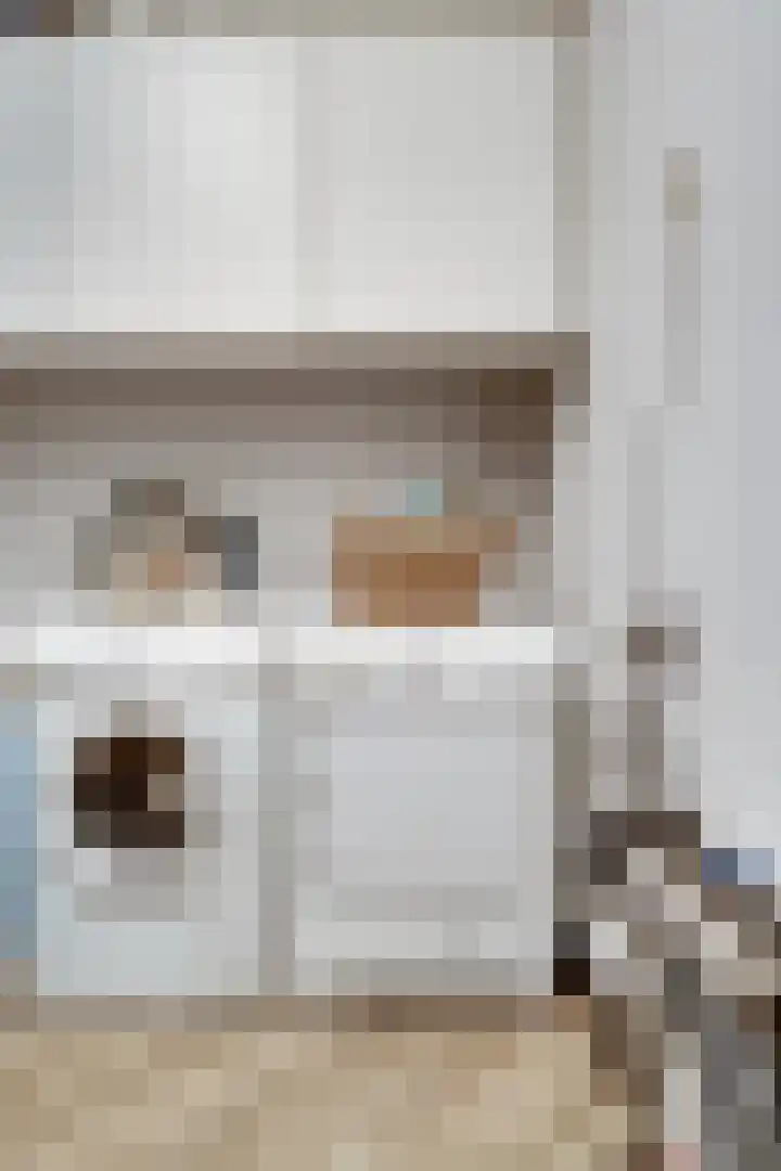 Ringoven 12 Tolkamer thumbnail 18
