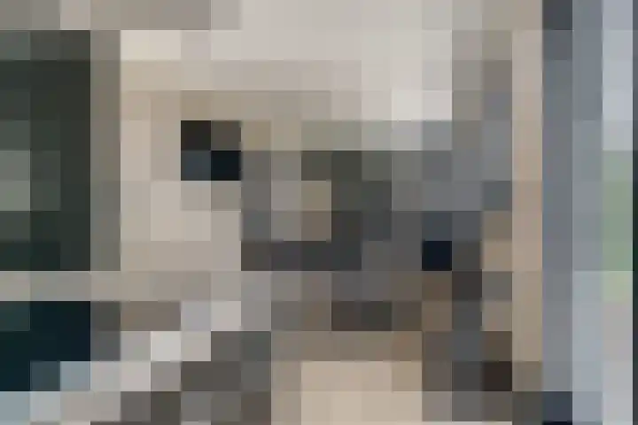 Ringoven 12 Tolkamer thumbnail 23
