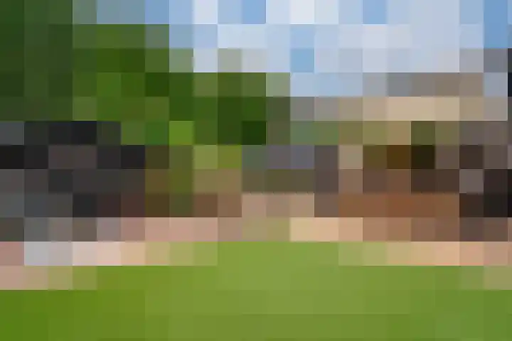 Ringoven 12 Tolkamer thumbnail 31
