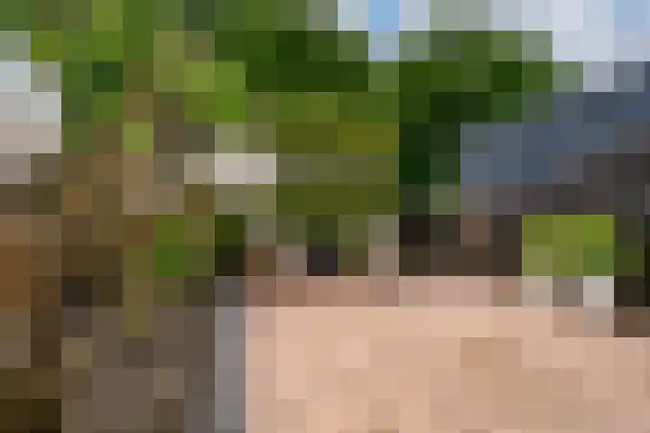 Ringoven 12 Tolkamer thumbnail 34