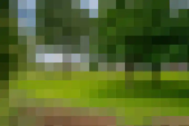 Ringoven 12 Tolkamer thumbnail 35