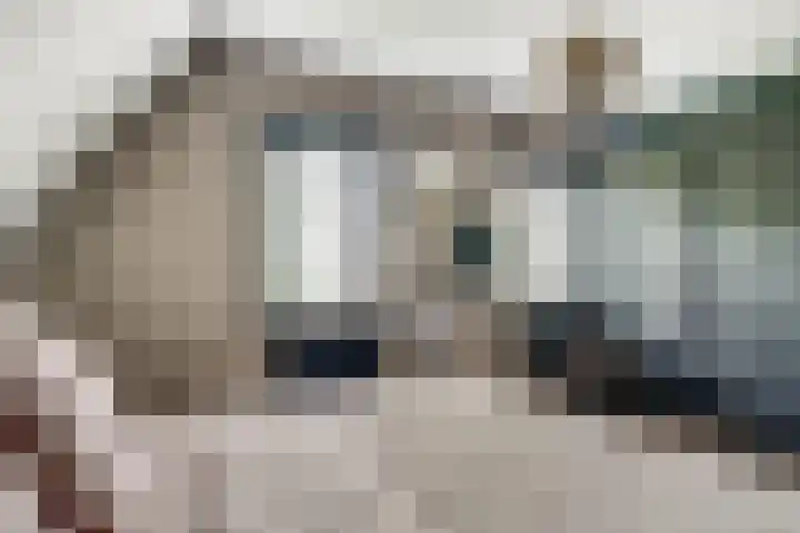 Ringoven 12 Tolkamer thumbnail 40