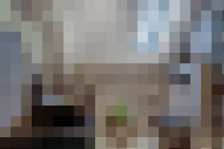 Ringoven 12 Tolkamer thumbnail 42