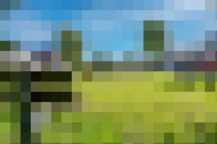 Ringoven 12 Tolkamer thumbnail 50