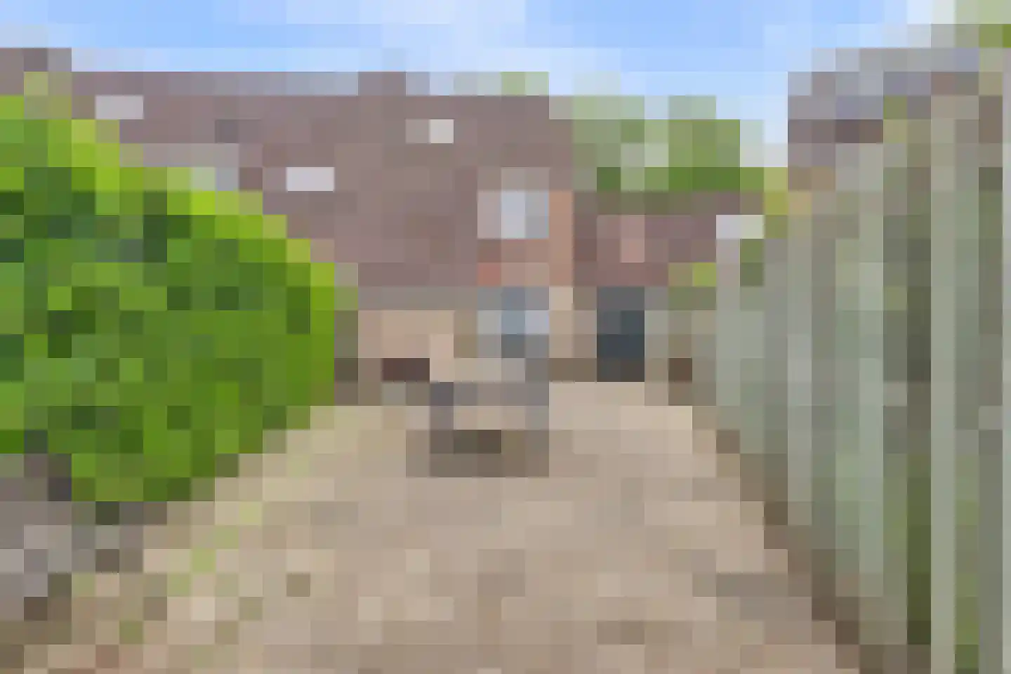 Ringoven 134 Wijk bij Duurstede thumbnail 37