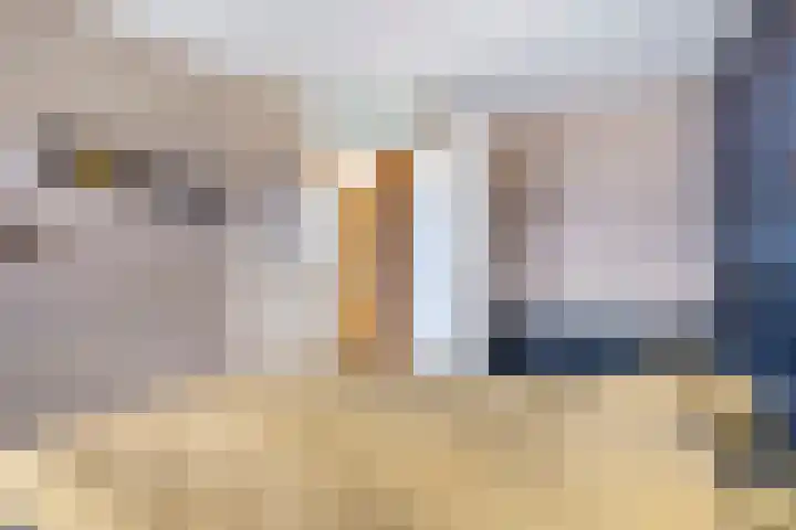 Ringoven 17 Borne thumbnail 19