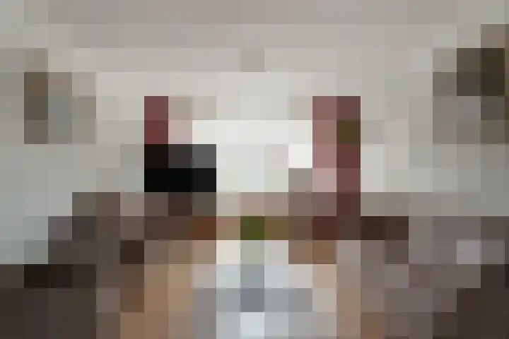 Ringoven 19 Giesbeek thumbnail 16