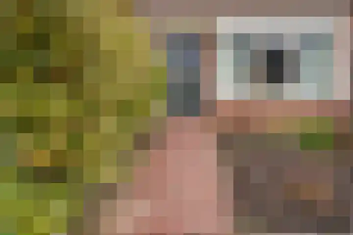 Ringoven 19 Giesbeek thumbnail 8