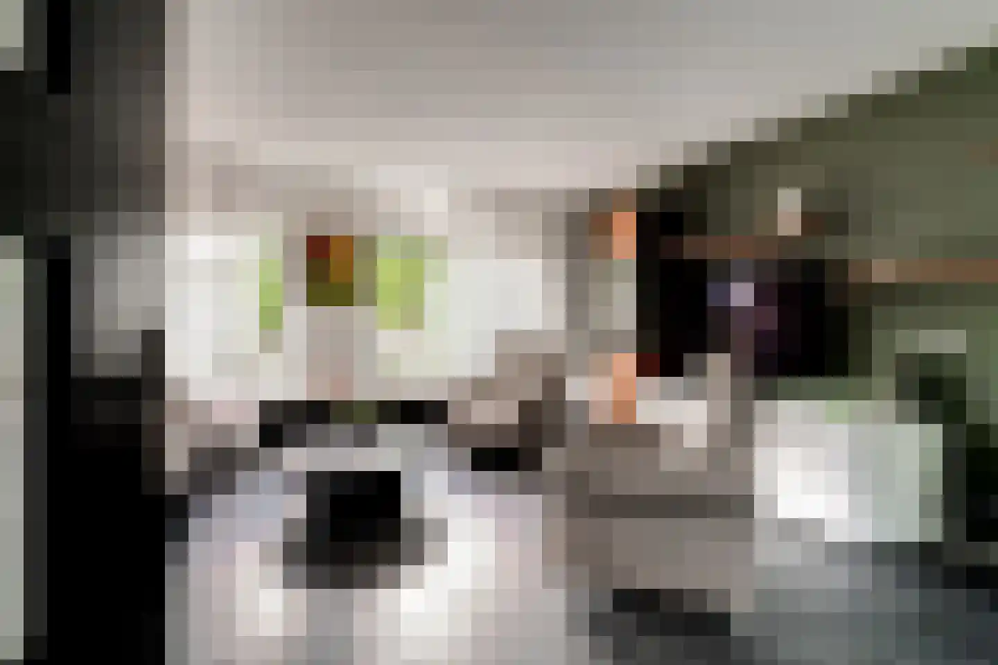 Ringoven 19 Tolkamer thumbnail 12