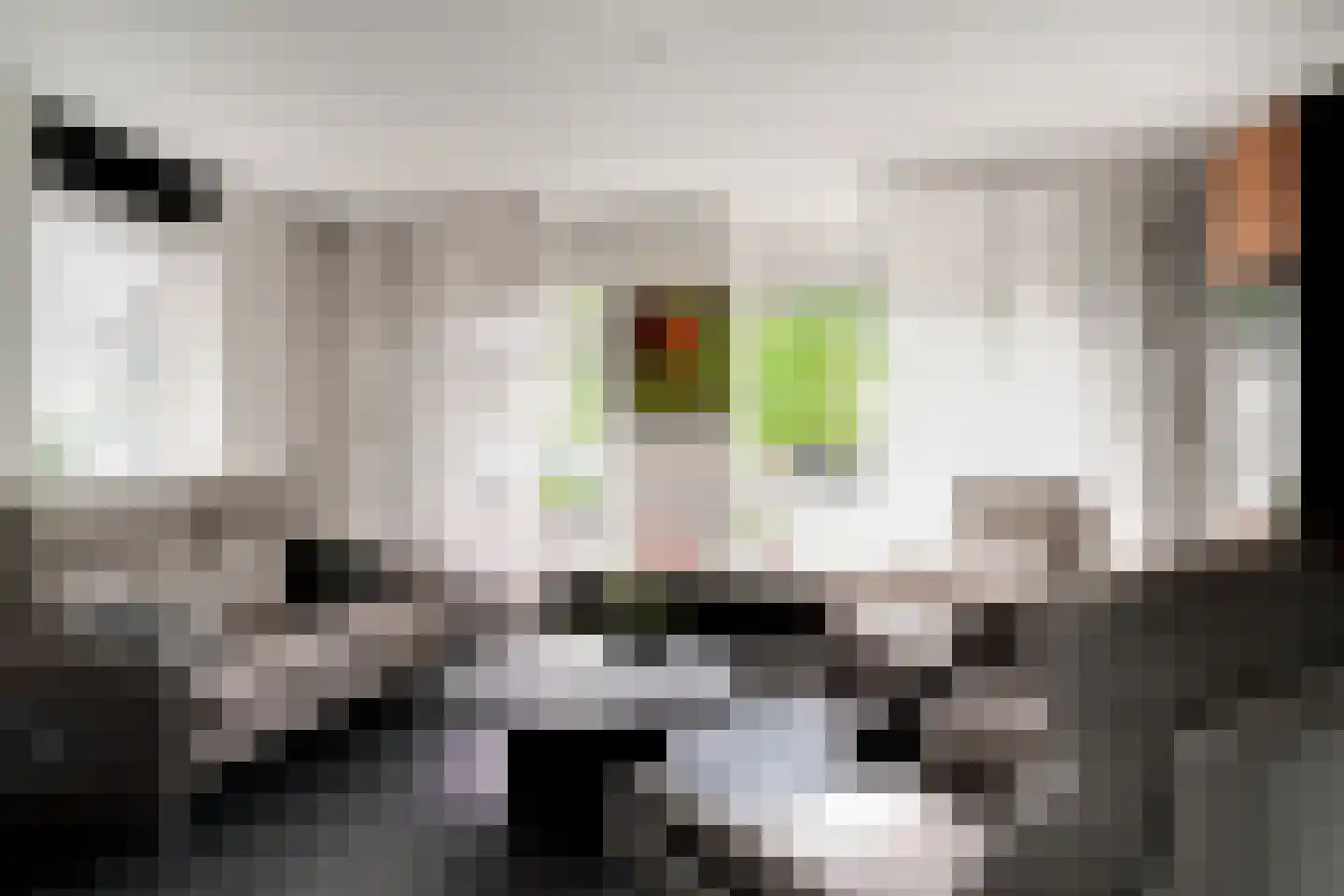 Ringoven 19 Tolkamer thumbnail 13