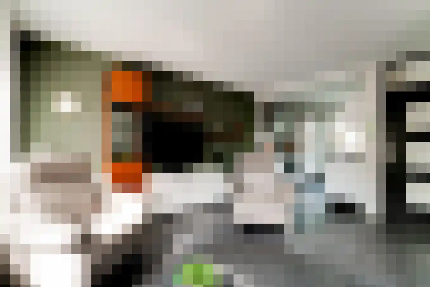 Ringoven 19 Tolkamer thumbnail 15