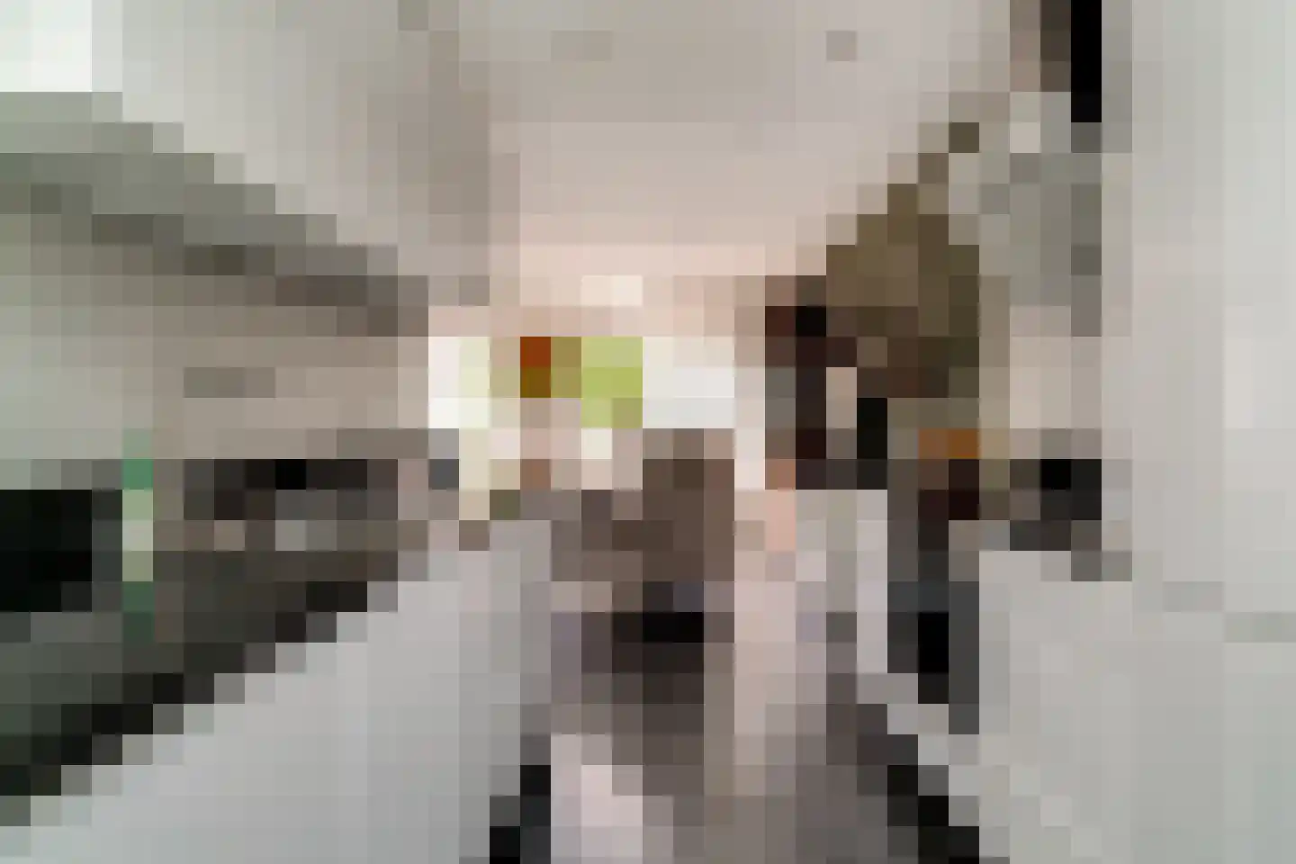 Ringoven 19 Tolkamer thumbnail 17