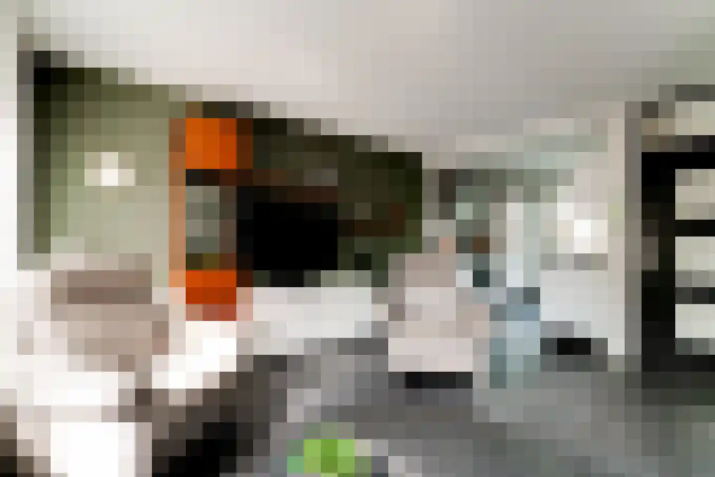 Ringoven 19 Tolkamer thumbnail 17