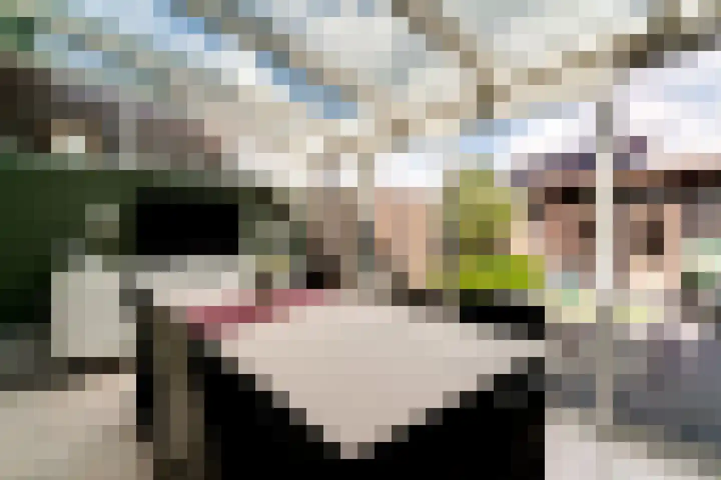 Ringoven 19 Tolkamer thumbnail 20