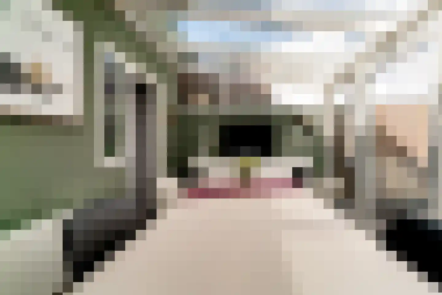 Ringoven 19 Tolkamer thumbnail 21