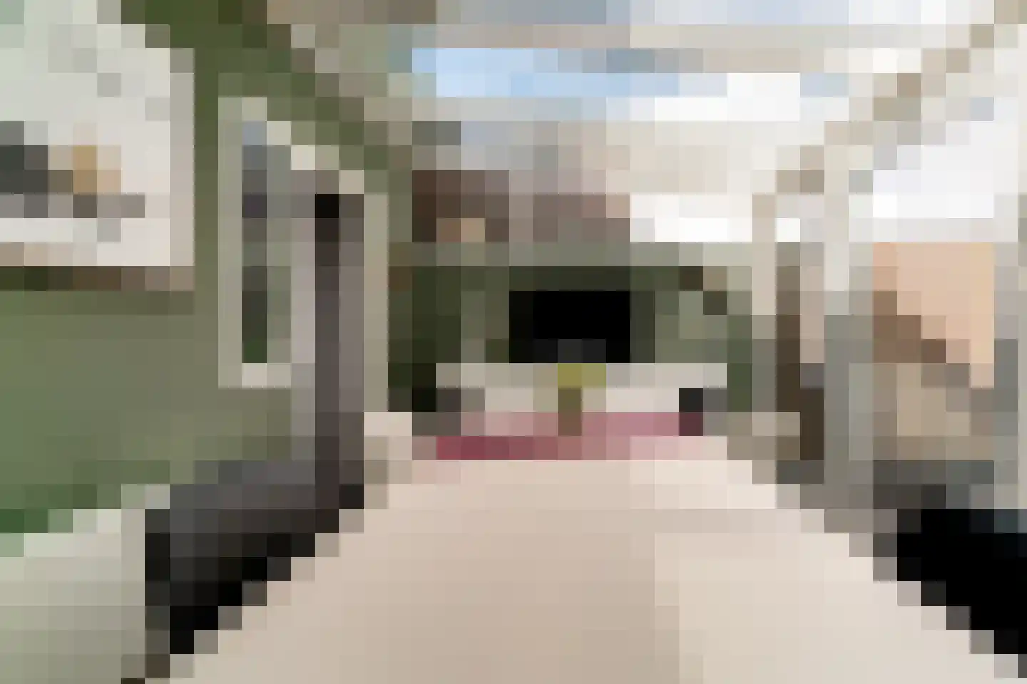 Ringoven 19 Tolkamer thumbnail 22