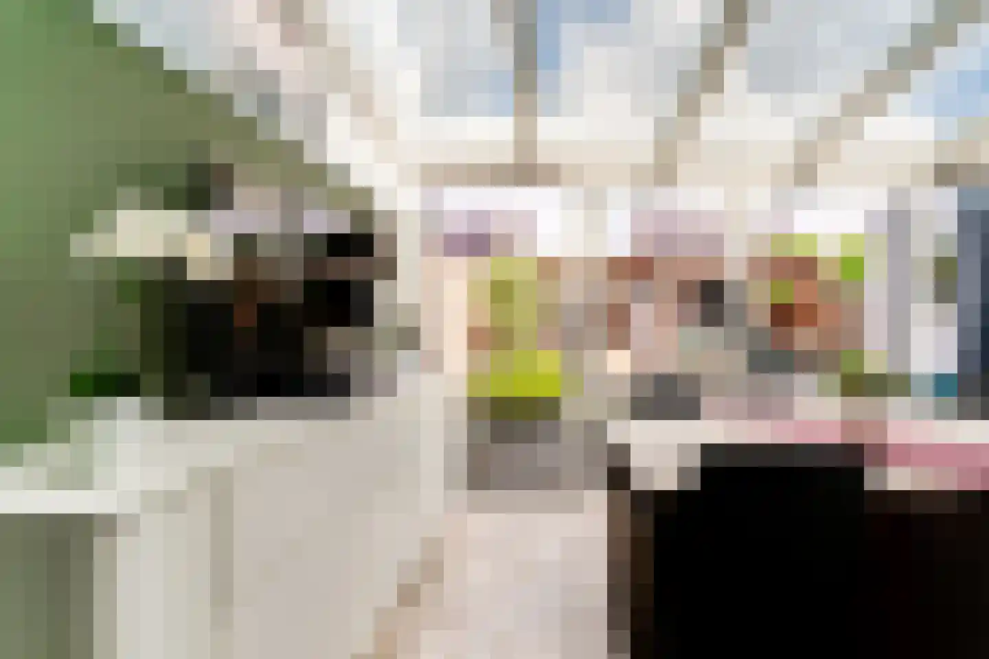 Ringoven 19 Tolkamer thumbnail 22