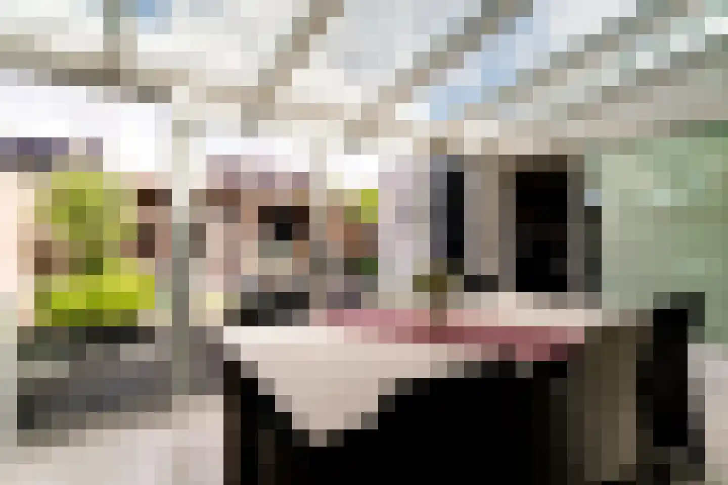 Ringoven 19 Tolkamer thumbnail 23