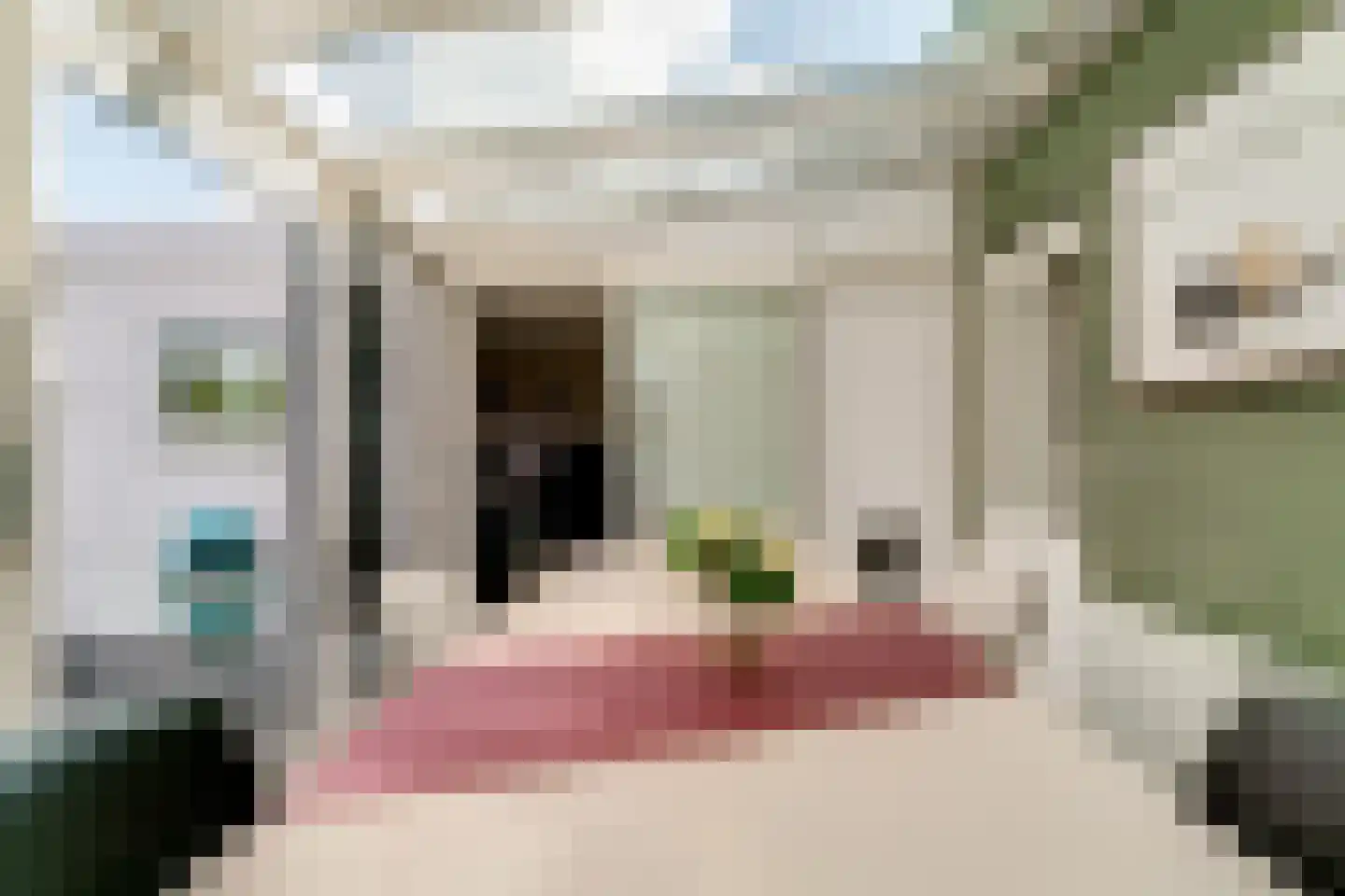 Ringoven 19 Tolkamer thumbnail 24