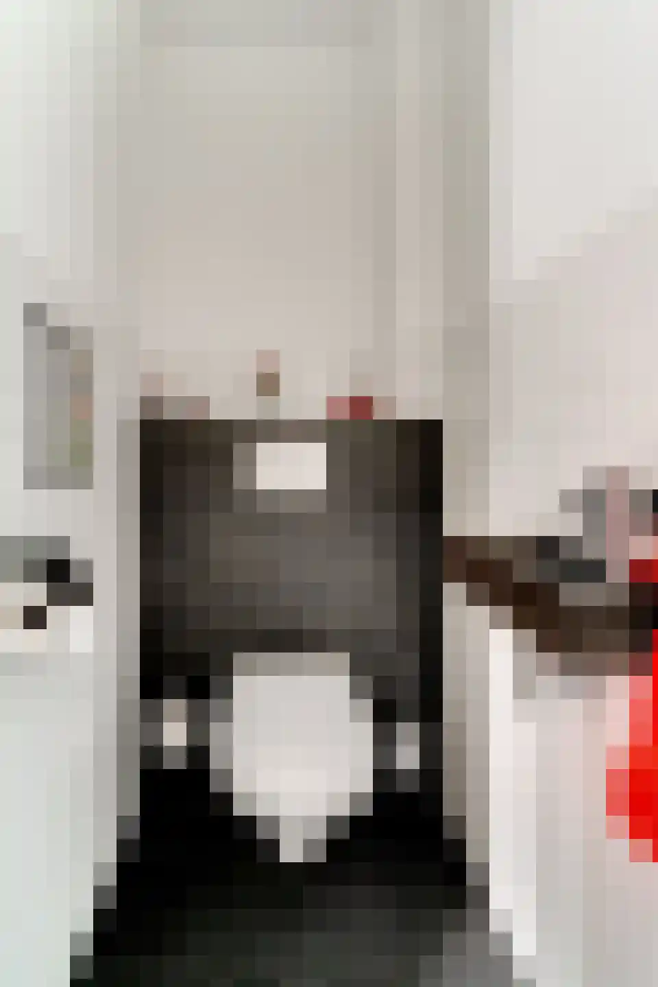 Ringoven 19 Tolkamer thumbnail 26