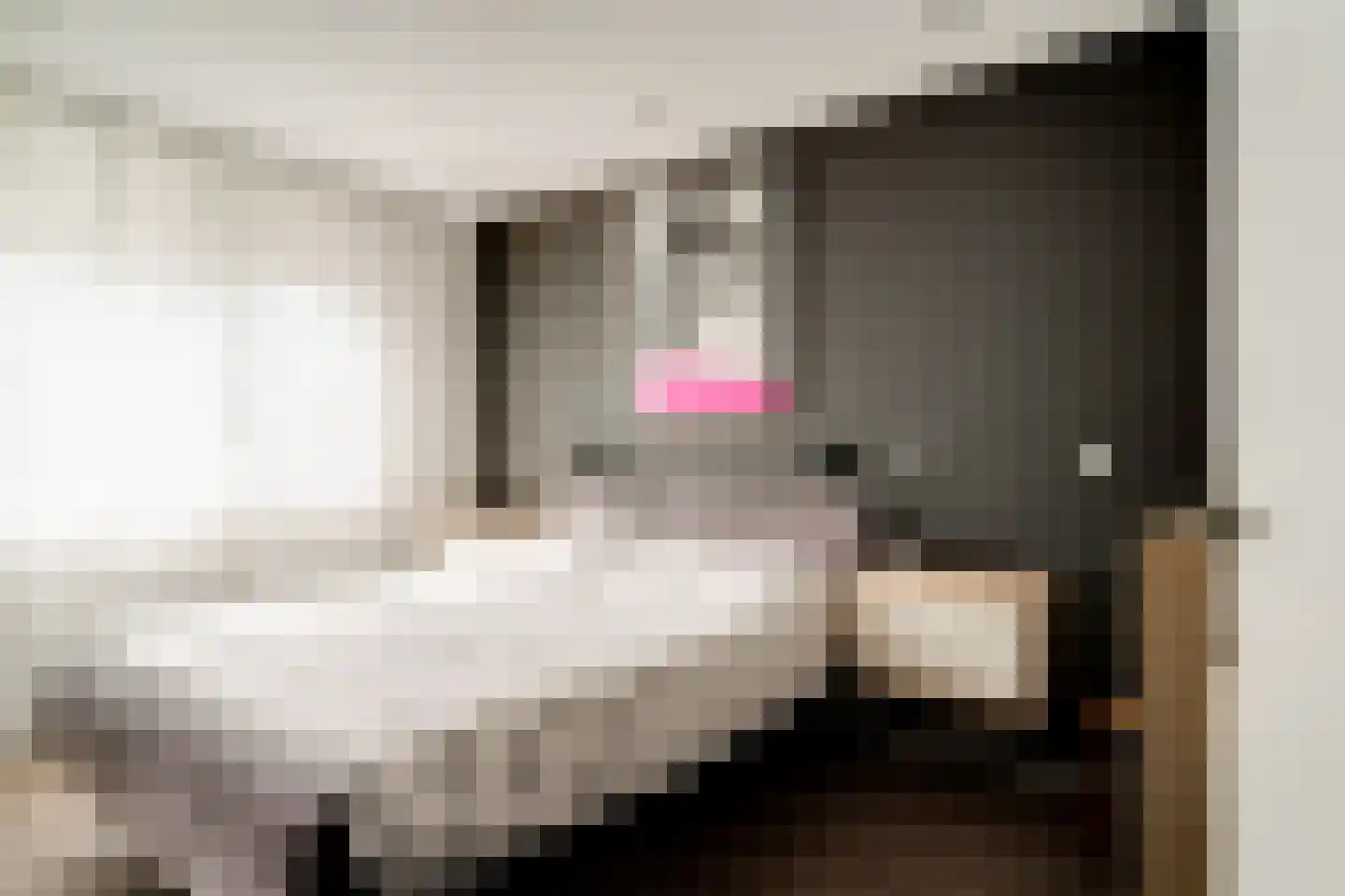 Ringoven 19 Tolkamer thumbnail 28
