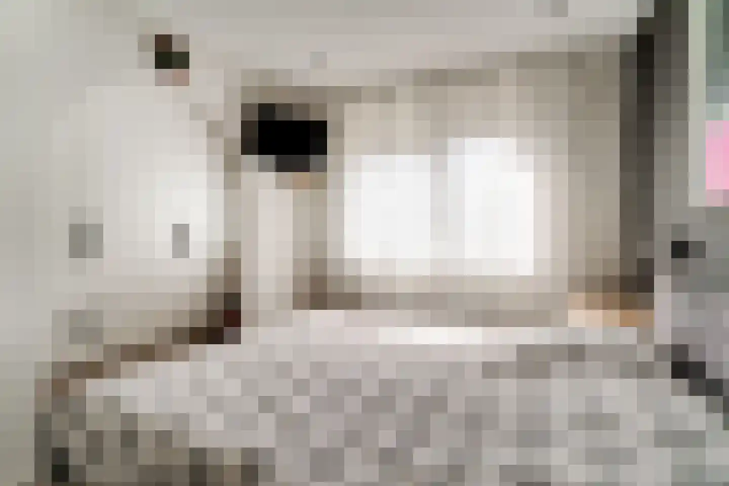 Ringoven 19 Tolkamer thumbnail 31