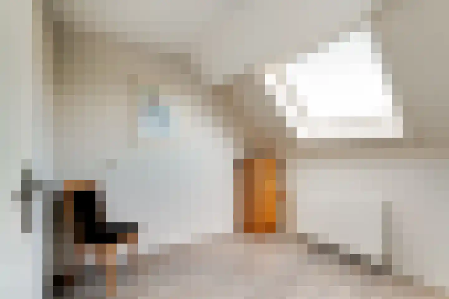 Ringoven 19 Tolkamer thumbnail 34