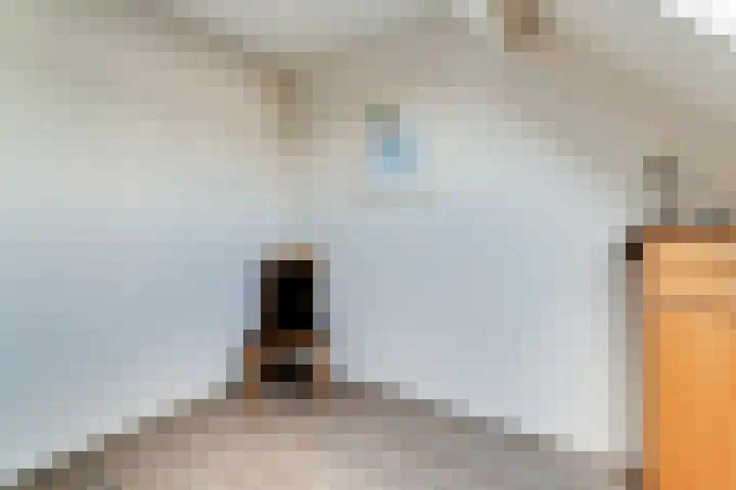 Ringoven 19 Tolkamer thumbnail 35