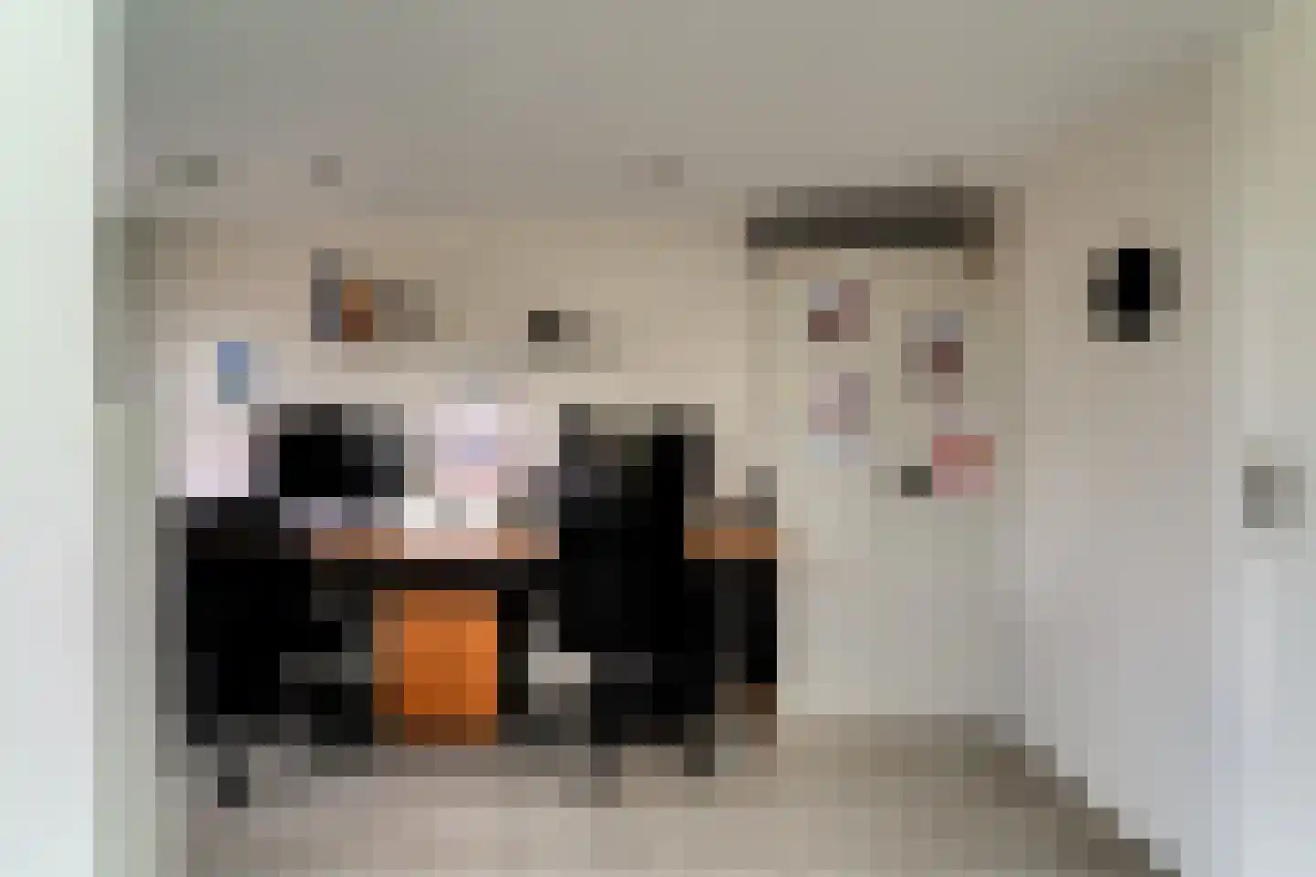 Ringoven 19 Tolkamer thumbnail 47