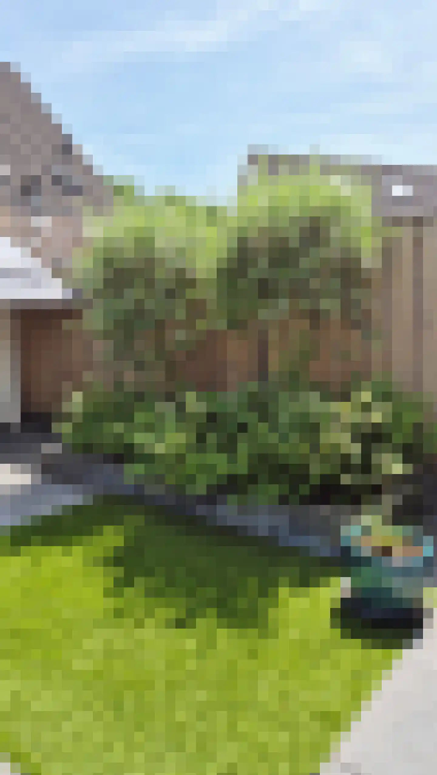 Ringoven 19 Tolkamer thumbnail 57
