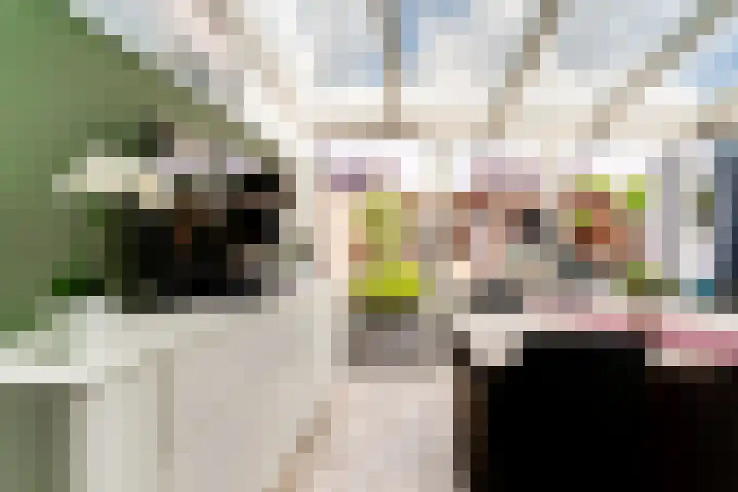 Ringoven 19 Tolkamer thumbnail 6