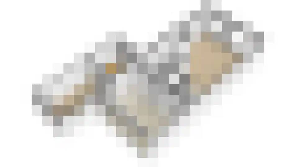 Ringoven 19 Tolkamer thumbnail 66