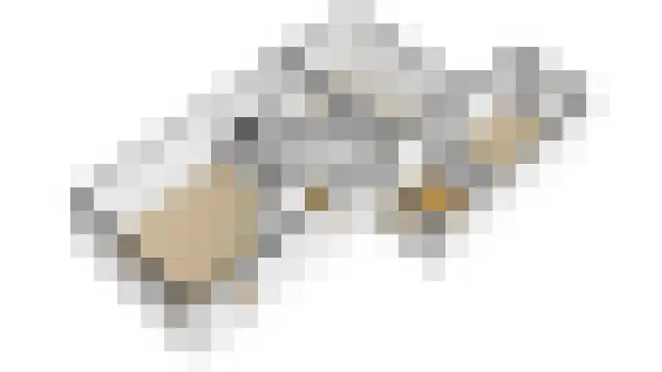 Ringoven 19 Tolkamer thumbnail 67