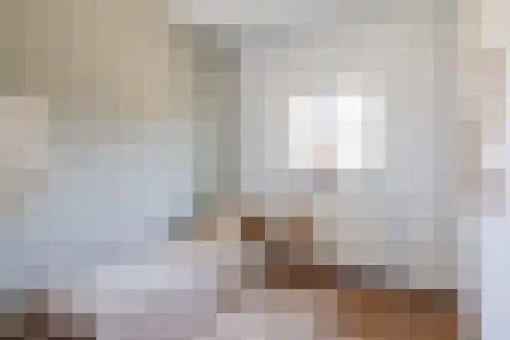 Ringoven 2 Veghel thumbnail 22