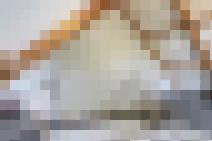 Ringoven 2 Veghel thumbnail 29