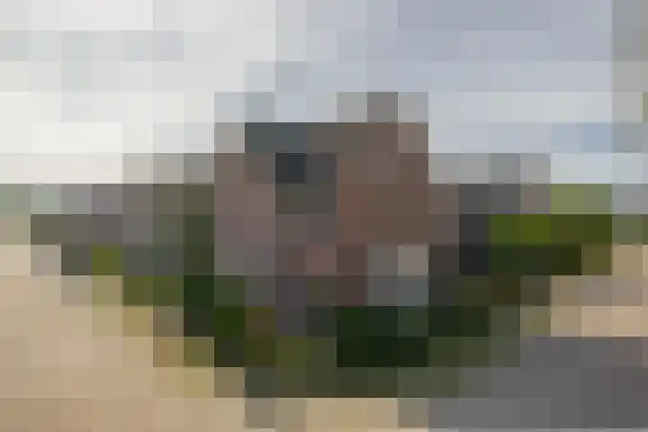 Ringoven 2 Veghel thumbnail 32