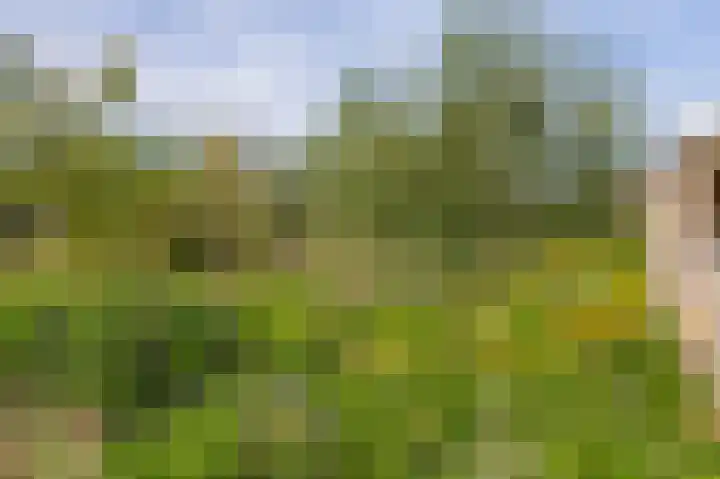 Ringoven 2 Veghel thumbnail 39