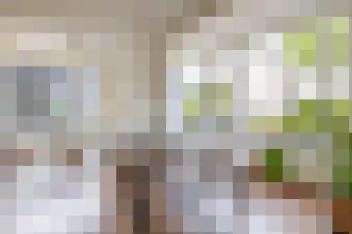 Ringoven 2 Veghel thumbnail 8