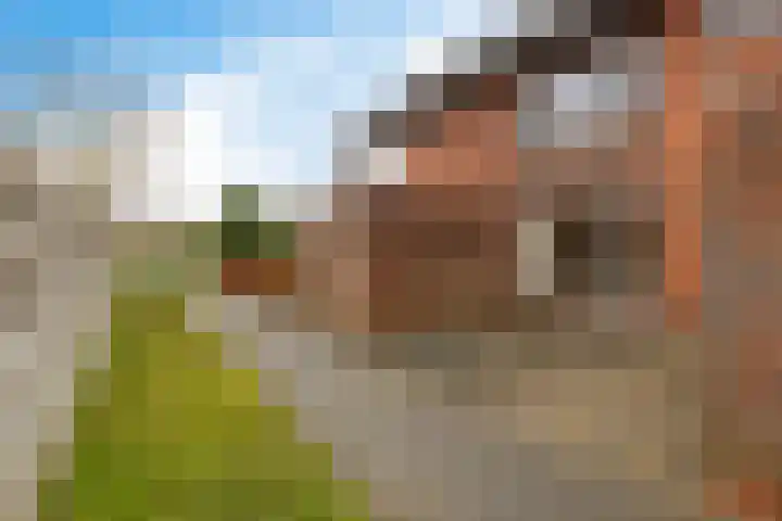 Ringoven 20 Delfzijl thumbnail 39