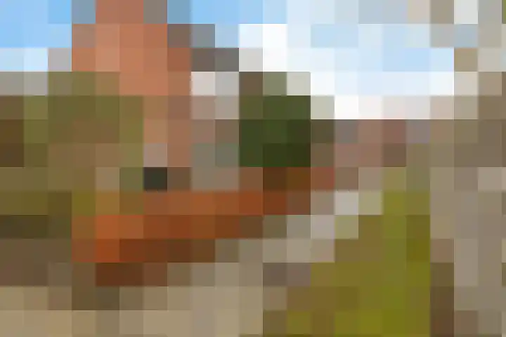 Ringoven 20 Delfzijl thumbnail 40