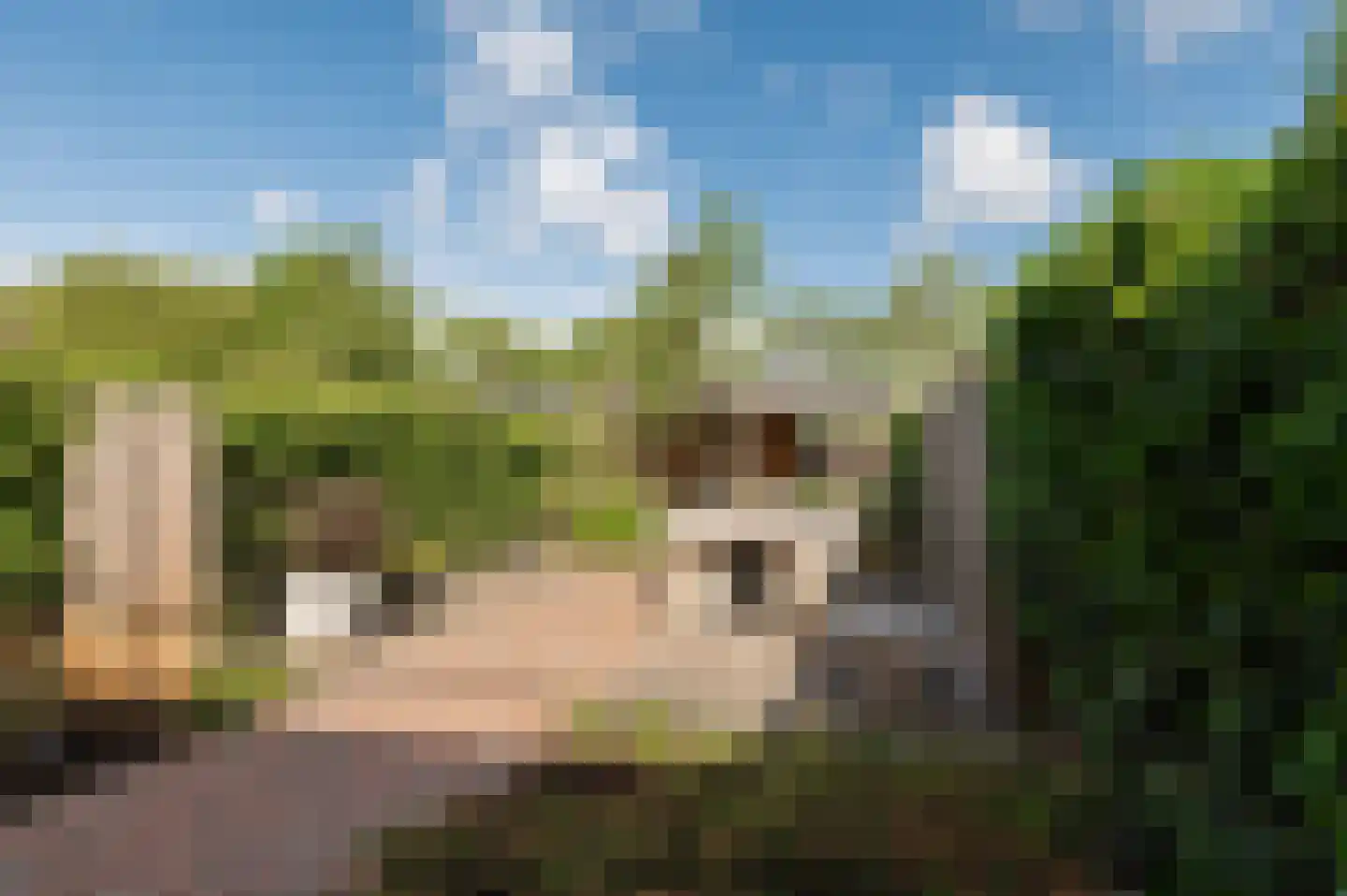 Ringoven 26 Wijk bij Duurstede thumbnail 21