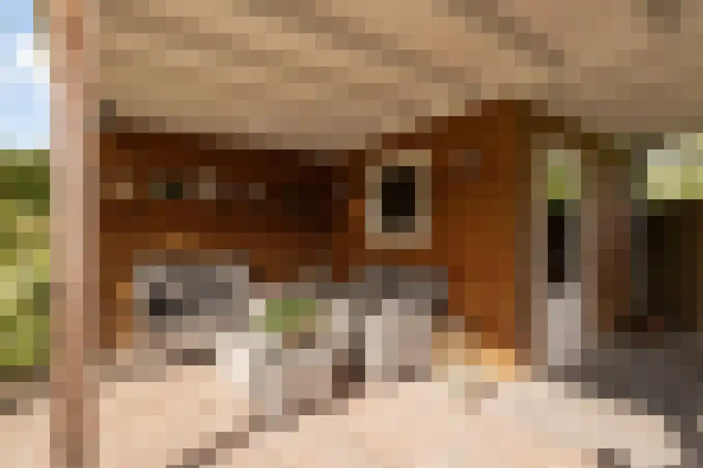 Ringoven 26 Wijk bij Duurstede thumbnail 24