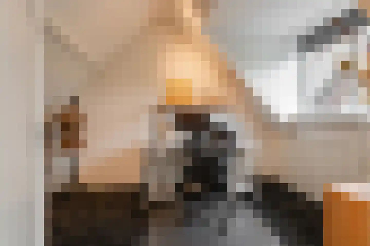 Ringoven 26 Wijk bij Duurstede thumbnail 42
