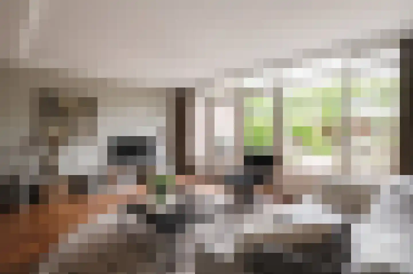 Ringoven 26 Wijk bij Duurstede thumbnail 7
