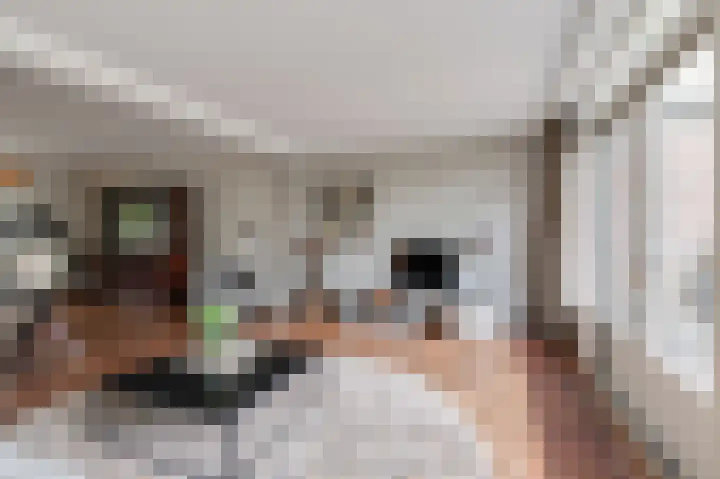 Ringoven 26 Wijk bij Duurstede thumbnail 8