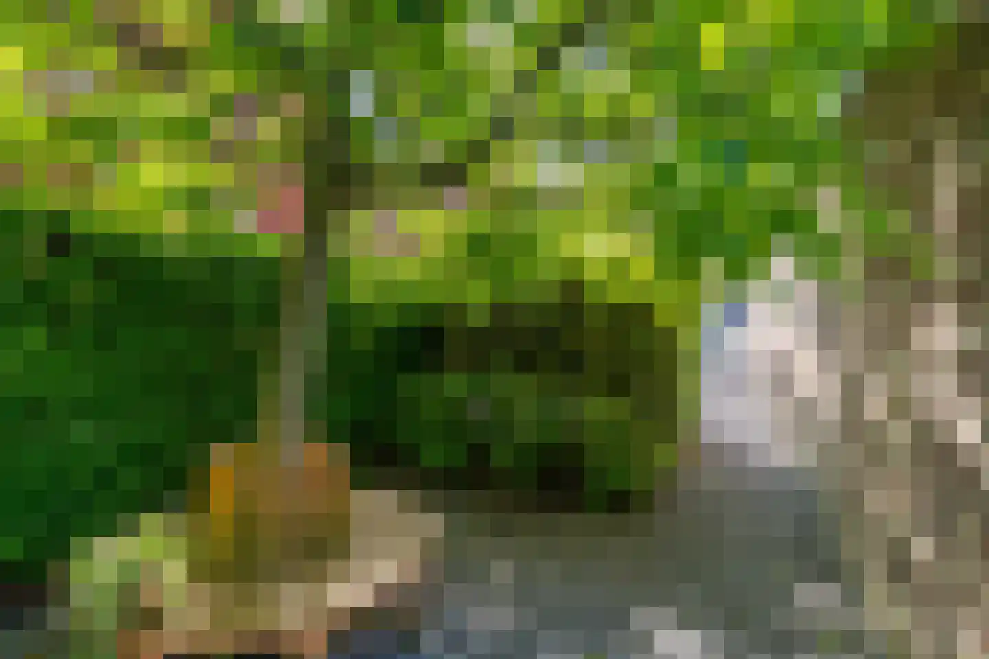 Ringoven 28 Overloon thumbnail 12