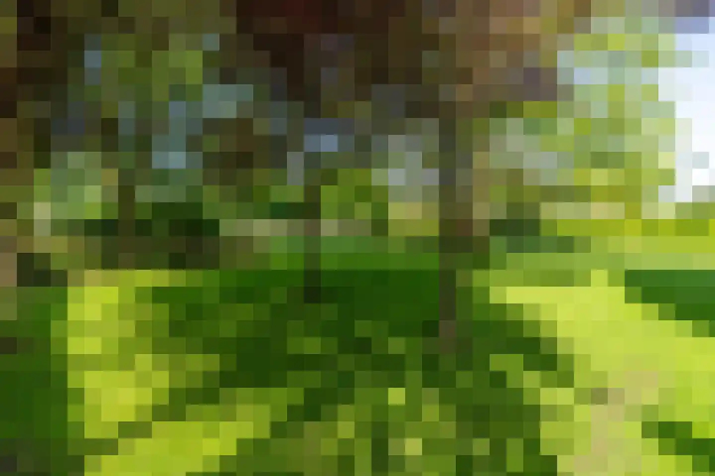 Ringoven 28 Overloon thumbnail 25