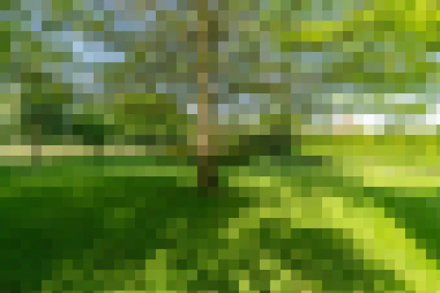 Ringoven 28 Overloon thumbnail 29