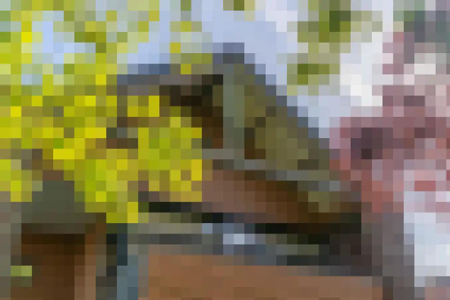 Ringoven 28 Overloon thumbnail 35